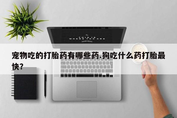 米非司酮网上药店微信宠物吃的打胎药有哪些药.狗吃什么药打胎最快？